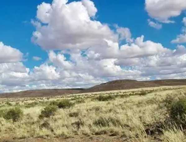 To Let commercial Property for Rent in Vanwyksvlei Northern Cape